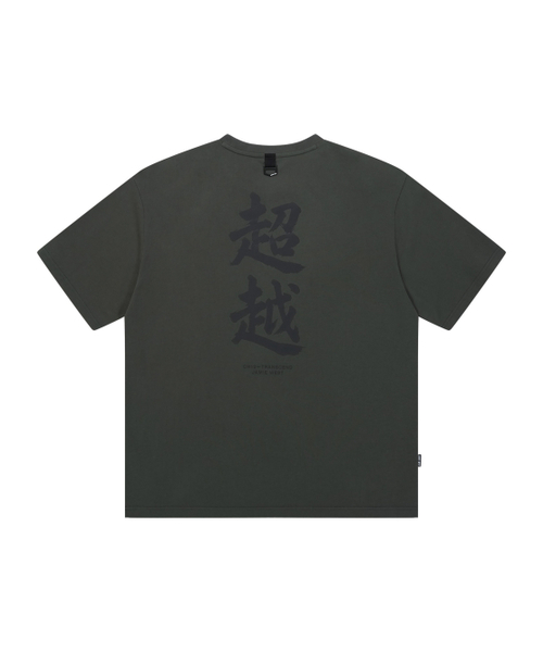 JAMIE WEST(ジェイミーウエスト)の「超越ウォッシュドTシャツ(グレー)(Tシャツ/カットソー・レディース・その他・MEDIUM/LARGE/X-LARGE)」の1枚目の写真