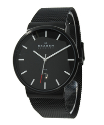 SKAGEN | KLASSIK SKW6053【MENS】(アナログ腕時計)