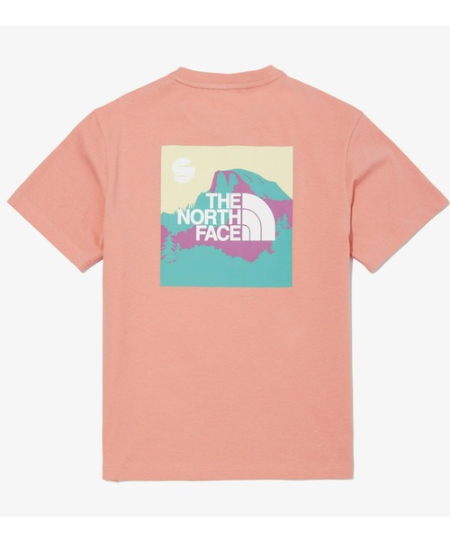 THE NORTH FACE STRIPE MULTI COLOR S/SR/TEE ノースフェイス THE NORTH FACE ノースフェイス Tシャツ COLOR PEAK S/SR/TEE