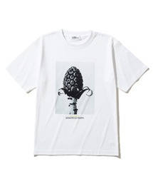 Kinetics WOMEN Petasites officinalis（キネティクスウィメン ペタシテス オフキナリス）