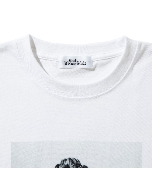 Kinetics(キネティクス)の「Kinetics WOMEN Petasites officinalis(キネティクスウィメン ペタシテス オフキナリス)(Tシャツ/カットソー・レディース・ホワイト・MEDIUM)」の3枚目の写真