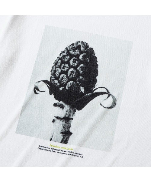 Kinetics(キネティクス)の「Kinetics WOMEN Petasites officinalis(キネティクスウィメン ペタシテス オフキナリス)(Tシャツ/カットソー・レディース・ホワイト・MEDIUM)」の5枚目の写真