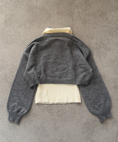 lilful(リルフル)の「【2点セット】シルバーワンポイント レイヤード ヘンリーネック ポロ襟ニットトップス(ニット/セーター・レディース・ブラック/グレー・S/M)」の10枚目の写真