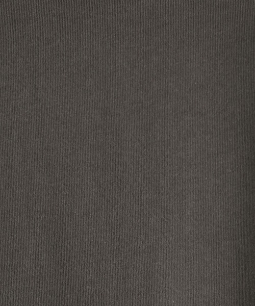 Elura(エルーラ)の「ピグメント風ワンピース<低身長サイズあり>/679122(ワンピース・レディース・ブラウン/チャコールグレー・FREE/FREE(S))」の16枚目の写真