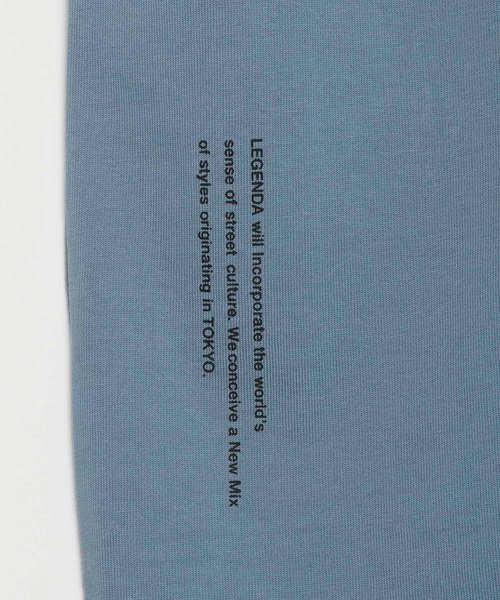 LEGENDA（レジェンダ）の「レジェンダ フェイデッドカラー モックネックTシャツ / LEGENDA Faded Color Mock Neck T-Shirt（Tシャツ/カットソー・レディース・ホワイト/チャコールグレー/ダークブルー・FREE）」の15枚目の写真