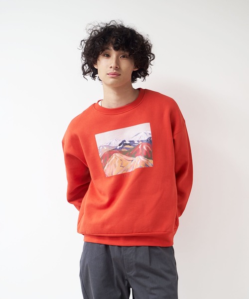 Common Noun(コモン ナウン)の「Common Noun/NATURE Kana Akiyama 裏起毛クルースウェット(スウェット・レディース・ネイビー/グレー/オフホワイト/レッド・LARGE/MEDIUM)」の1枚目の写真
