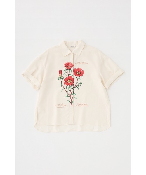 MOUSSY（マウジー）の「ART PRINT シャツ（シャツ/ブラウス・レディース・オフホワイト/ライトグリーン・FREE）」の19枚目の写真
