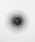 KarlssoniJ[\j́uKARLSSON Peony Wall clock J[\ sIj[ EH[NbN |vi|vjvbubN