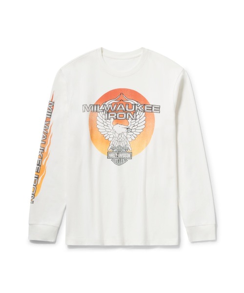 希少 HARLEY-DAVIDSON スパイダープリント/M 2003 ロンt 希少 HARLEY-DAVIDSON スパイダープリント/M 2003 ロンt 希少