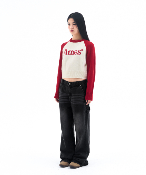AMESWORLDWIDE(アメスワールドワイド)の「SEMIWIDE DENIM PANTS BLACK(デニムパンツ・レディース・その他・SMALL/MEDIUM/LARGE)」の7枚目の写真