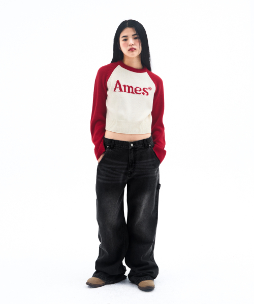 AMESWORLDWIDE(アメスワールドワイド)の「SEMIWIDE DENIM PANTS BLACK(デニムパンツ・レディース・その他・SMALL/MEDIUM/LARGE)」の8枚目の写真