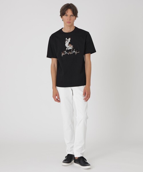 BLACK LABEL CRESTBRIDGE(ブラックレーベル・クレストブリッジ)の「ハブラシコーギーTシャツ(Tシャツ/カットソー・メンズ・オフホワイト/ブラック/ベージュ系その他/ピンク系その他2・L/XL/M/S)」の11枚目の写真
