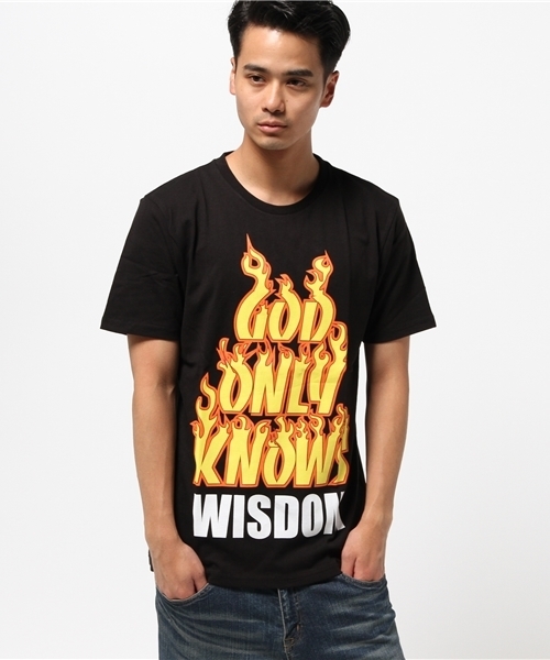 WEGO(ウィゴー)の「WEGO/ファイヤーBIGロゴTシャツ(Tシャツ/カットソー・メンズ・ブルー/ブラック・LARGE/MEDIUM)」の9枚目の写真