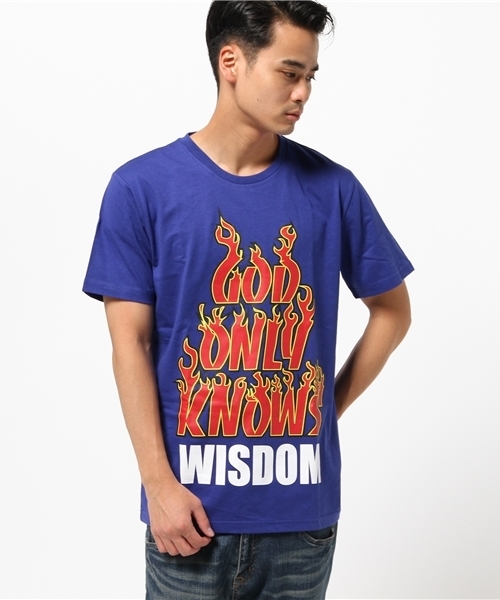 WEGO(ウィゴー)の「WEGO/ファイヤーBIGロゴTシャツ(Tシャツ/カットソー・メンズ・ブルー/ブラック・LARGE/MEDIUM)」の10枚目の写真