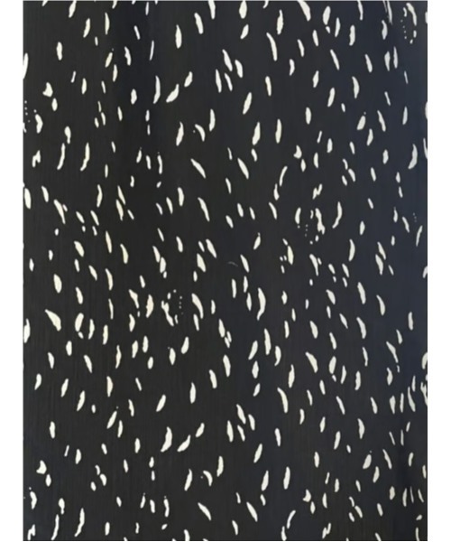 CHIGNON（シニヨン）の「CHIGNON プリント柄シャツコンビネゾン