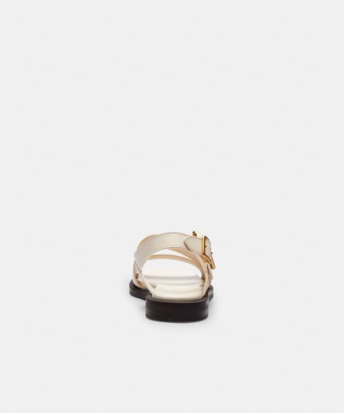 アーカイブ バックル フラット サンダル（サンダル）｜COACH