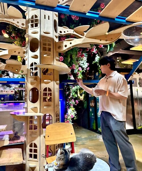 MUSINSA STANDARD（ムシンサスタンダード）の「ワイドヒドゥンバンディングクロップドスラックス[ミディアムグレー]（スラックス・メンズ・その他・40/42/26/27/28）」の9枚目の写真