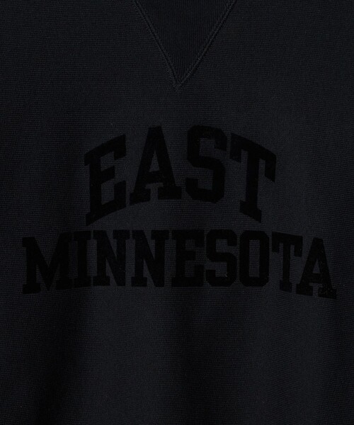 Champion（チャンピオン）の「【別注】＜Champion＞プリント スウェットプルオーバー（スウェット・レディース・ブラック/ライトグレー・FREE）」の16枚目の写真