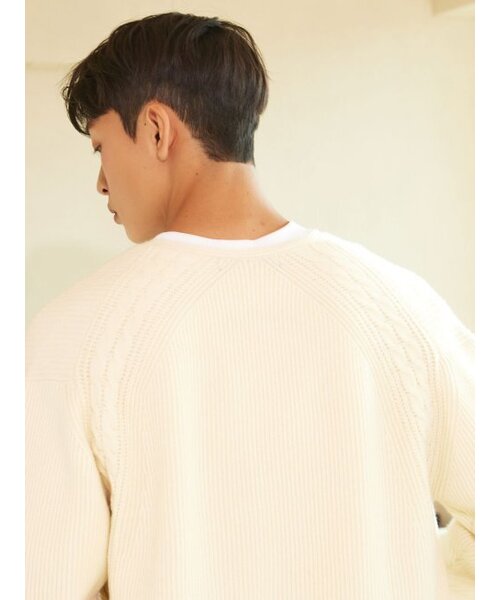 AYIHOLIC CASHMERE(アイホリックカシミア)の「ダブルジップ ゴルジ ワイカーディガン アイボリー #3COLOR(ニット/セーター・レディース・アイボリー・M/L)」の2枚目の写真