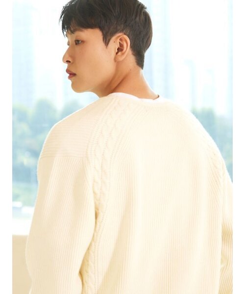 AYIHOLIC CASHMERE(アイホリックカシミア)の「ダブルジップ ゴルジ ワイカーディガン アイボリー #3COLOR(ニット/セーター・レディース・アイボリー・M/L)」の5枚目の写真
