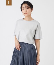 【L】【カタログ掲載・ウォッシャブル】クリアゼブラプリントカットソー