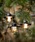 BAREBONESixA{[Yj́uBAREBONES/xA{[Y Edison Pendant String Lights/GW\XgOCgLEDiƖjvbuY