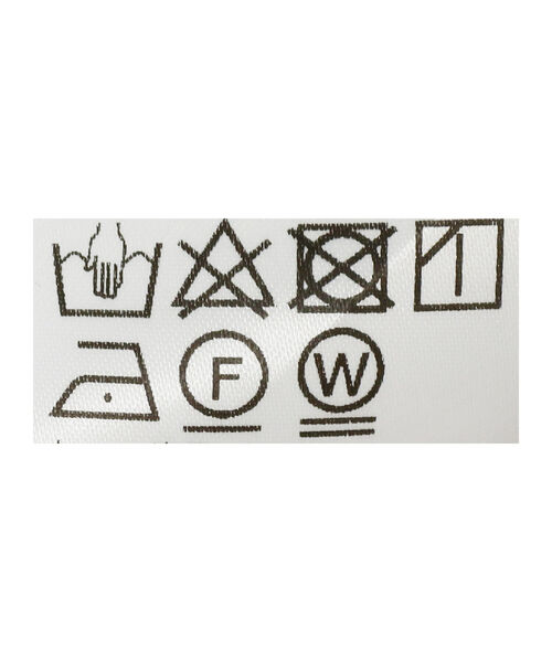 Ray BEAMS（レイビームス）の「RBS / イソザイ ギャザー プルオーバー（Tシャツ/カットソー・レディース・ホワイト/ブラック・ONE SIZE）」の14枚目の写真