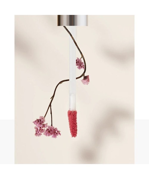 KOBE LETTUCE（コウベレタス）の「[MOS モス]エアリーブリーズマットティント（口紅/リップティント/グロス・レディース・その他・FREE）」の3枚目の写真