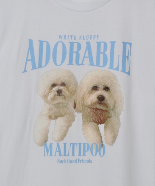 MODISH GAZE(モディシュガゼ)の「【MODISH GAZE】アニマルプリントTシャツDOGプリント(Tシャツ/カットソー・メンズ・ホワイト/オートミール/ネイビー/ブラック・MEDIUM/LARGE/X-LARGE)」の15枚目の写真