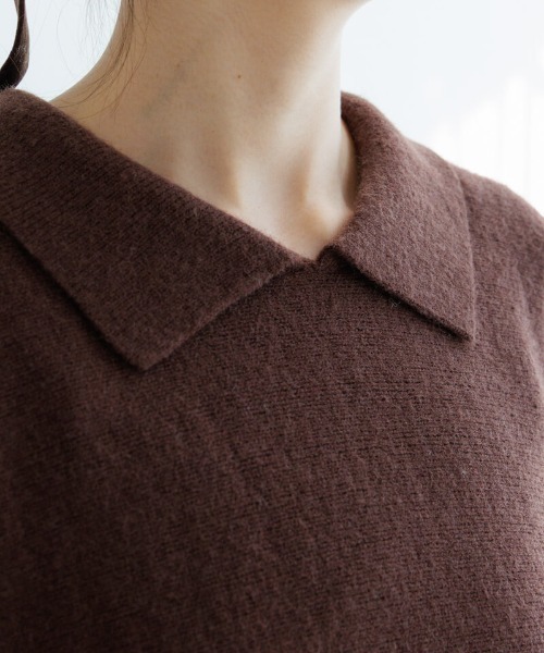 flower（フラワー）の「ポロミニワンピース（ワンピース・レディース・ブラウン・FREE）」の9枚目の写真