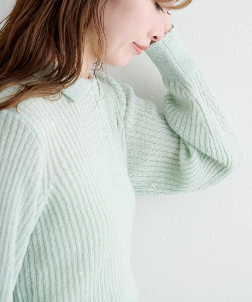 Kastane（カスタネ）の「【一部店舗限定】B スパンコールニットポロ（ニット/セーター・レディース・ブルー/アイボリー/ブラウン/ミント・FREE）」の9枚目の写真