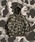 WISH FOR EVER�i�E�B�b�V���t�H�[�G�o�[�j�́uA LOT OF�gHELLO KITTY�h DOUBLE ZIP HOODIE�i�p�[�J�[�j�v�b�u���E���n�J���t���[�W��