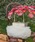 FURFUR�i�t�@�[�t�@�[�j�́u�yUSAGI ONLINE/ZOZOTOWN����z�N���X�^�����S���܌��`���`���o�b�O�i�n���h�o�b�O�j�v�b�I�t�z���C�g