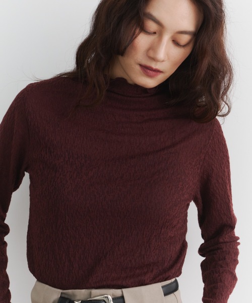 ORDENA(オルディナ)の「シアーニュアンスボトルネックカットソー(Tシャツ/カットソー・レディース・ブラック/アイボリー/バーガンディー・FREE)」の12枚目の写真