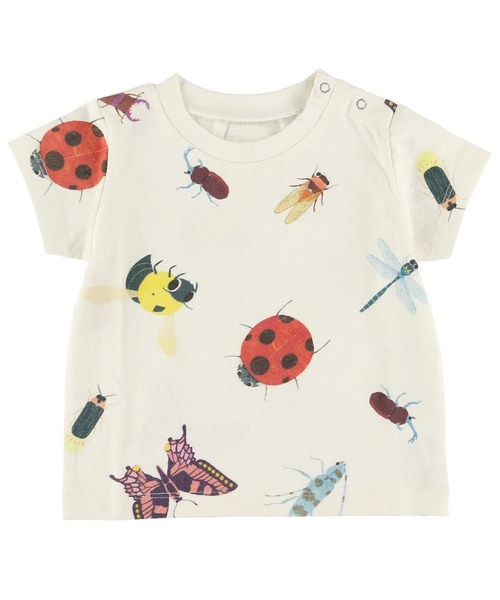INSECT COLLECTION(インセクトコレクション)の「抗ウイルス・抗菌・防汚・消臭ランダム昆虫大集合Tシャツ(Tシャツ/カットソー・キッズ・オフホワイト・XL/S/L/M)」の1枚目の写真