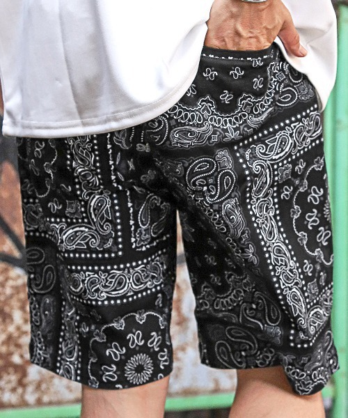 LUXSTYLE(ラグスタイル)の「ペイズリー柄ショートパンツ(チノパンツ・メンズ・ネイビー/ホワイト/レッド/ブラック・M/L)」の13枚目の写真