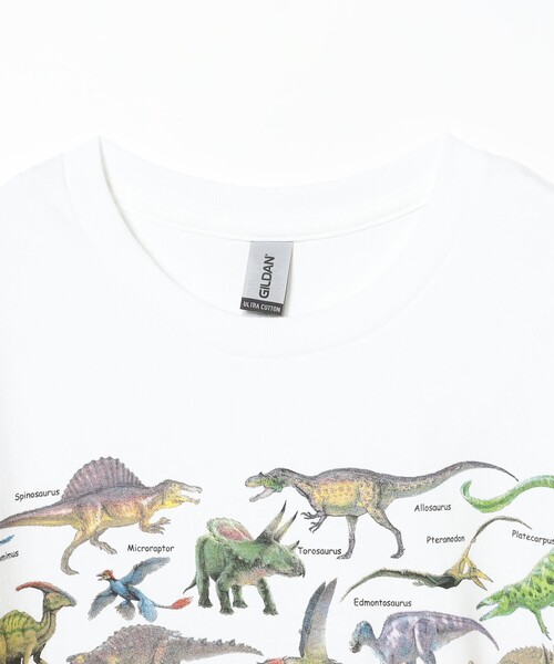 トップス BEAMS BOY Dinosaurs Tee 別注】Atlas Screen Printing / Dinosaur Tee（Tシャツ