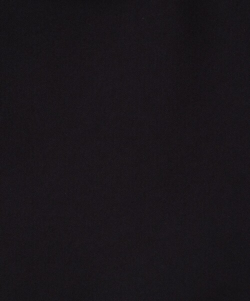 NOLLEY’S（ノーリーズ）の「《セットアップ対応》ウォッシャブルストレッチギャババックフレアブラウス（シャツ/ブラウス・レディース・ブラック/ベージュ・38）」の22枚目の写真