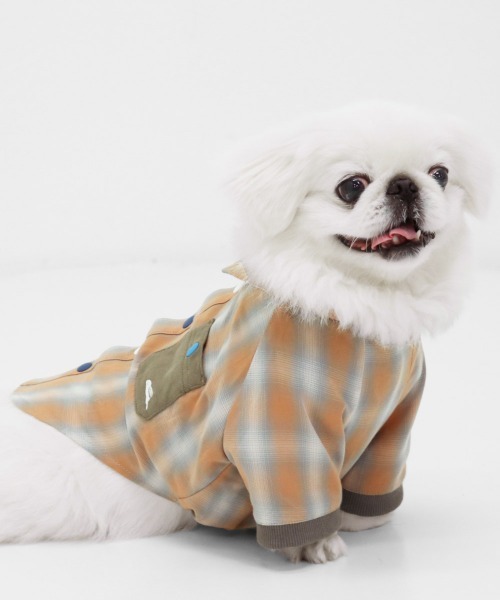 セール】【犬服・ドッグウェア】DOGハッピーシャツ（ペットウェア