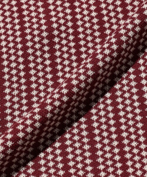 BEAMS PLUS(ビームスプラス)の「Half Zip Knit Polo(ポロシャツ・メンズ・ブラウン/ワイン/ネイビー・X-LARGE/LARGE/MEDIUM/SMALL)」の16枚目の写真