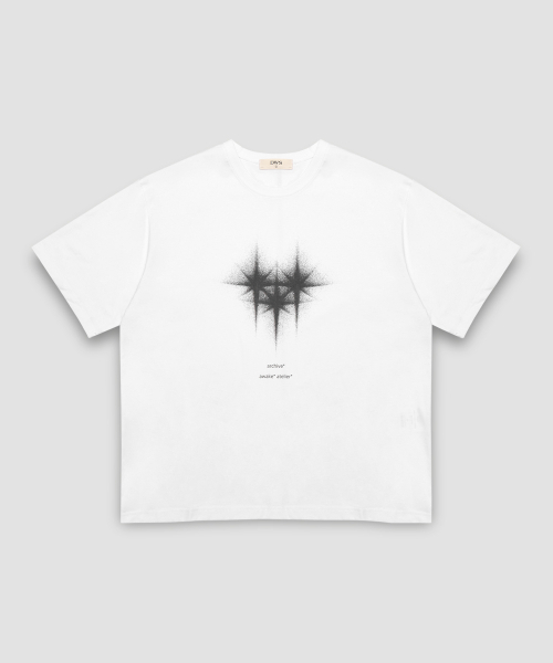 DWSE(ディーダブリューエスイー)の「ダージリングラフィックTシャツ(ホワイト)(Tシャツ/カットソー・メンズ・その他・MEDIUM/LARGE)」の4枚目の写真