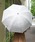 axes femme�i�A�N�V�[�Y�t�@���j�́u�_�}�X�N�����J���p�V���[�g�P�i���P�j�v�b�L�i��