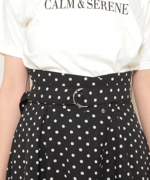 PAGEBOY(ページボーイ)の「ドット×ギンガムフリルスカート(スカート・レディース・ホワイト系その他/ブラック系その他/ホワイト×ブラック・FREE)」の14枚目の写真