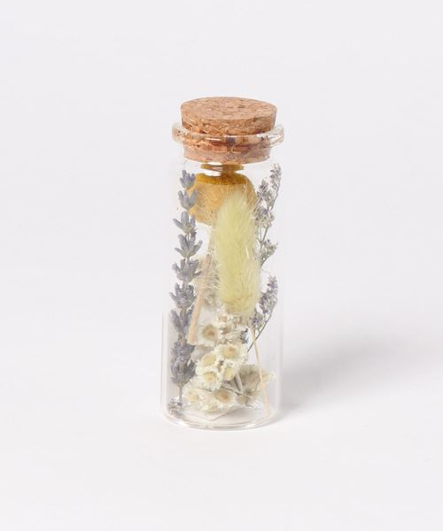 セール フラワーボトル インテリアアクセサリー Studio Clip スタディオクリップ のファッション通販 Zozotown