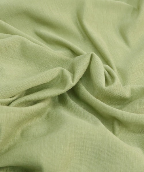 Avvenente（アベネンテ）の「【Avvenente】2WAYプリントシアーTシャツ（Tシャツ/カットソー・レディース・ホワイト/ブラック/ライトグリーン・M）」の16枚目の写真