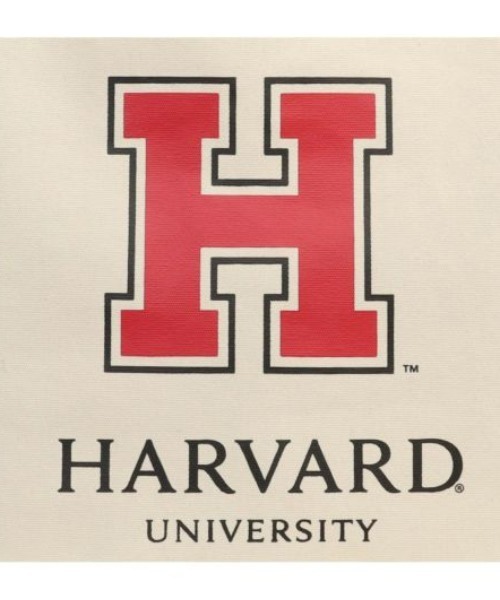 SALON de RUBAN（サロンドルヴァン）の「【SALON de RUBAN / サロン ド ルヴァン】 HARVARD UNIVERSITY トートバッグ（トートバッグ・レディース・アイボリー/ワイン/グレー・FREE）」の11枚目の写真