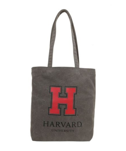 SALON de RUBAN（サロンドルヴァン）の「【SALON de RUBAN / サロン ド ルヴァン】 HARVARD UNIVERSITY トートバッグ（トートバッグ・レディース・アイボリー/ワイン/グレー・FREE）」の5枚目の写真