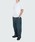 WILD THINGSiChVOXj́uWILD THINGS FUSION TECH CONVERTIBLE PANTSiChVOX t[WebN Ro[`upcjȋpcjvbO[n