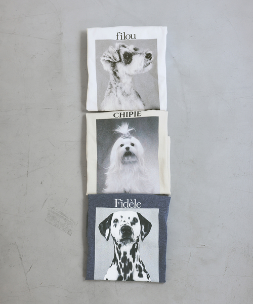 DOG PHOTO TEE（Tシャツ/カットソー）｜SLOBE IENA