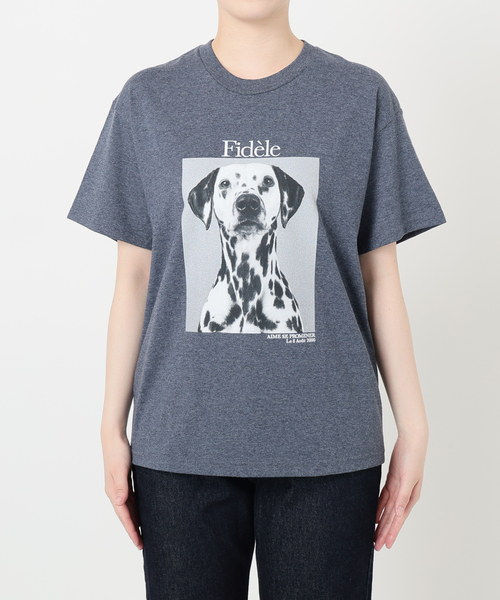DOG PHOTO TEE（Tシャツ/カットソー）｜SLOBE IENA
